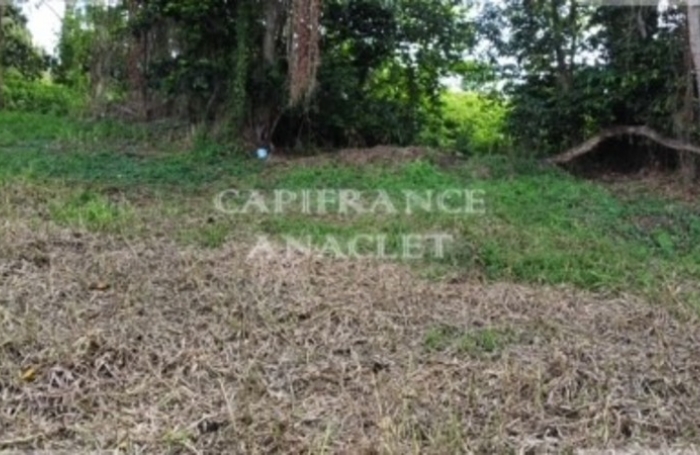 Vente Terrain 1187m&sup2; Le Lamentin