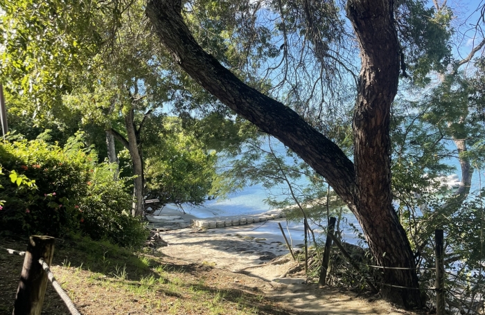 Vente Appartement 20m&sup2; 1 pièce Sainte Anne