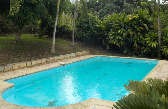 Location Maison 250m&sup2; 5 pièces Rivi&egrave;re Sal&eacute;e