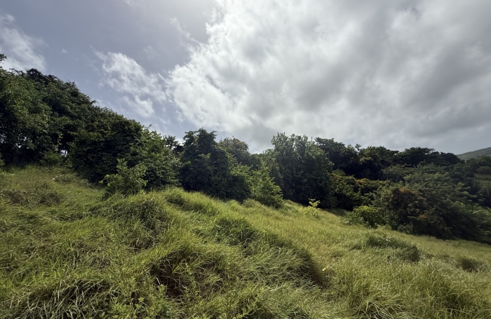 Terrain - 3361 m2 - LE MARIN