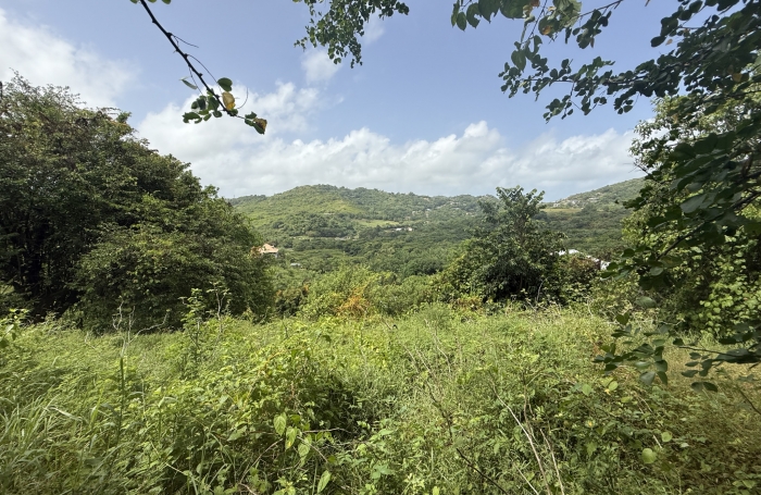 Terrain - 3361 m2 - LE MARIN