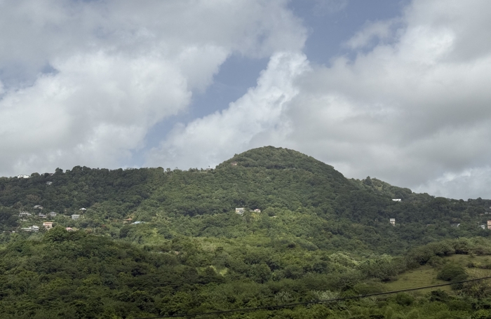 Terrain - 3361 m2 - LE MARIN