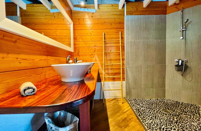 Vente Maison 165m&sup2; 7 pi&egrave;ces Sainte Luce