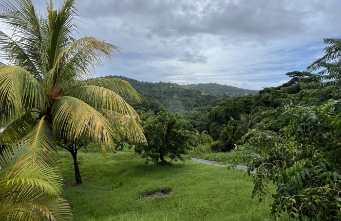 Terrain de 786m2 &agrave; acheter 96000 &euro; &agrave; Rivi&egrave;re-Pilote