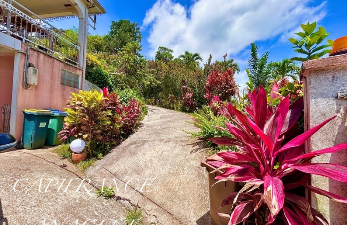 Vente Maison 244m&sup2; 7 pièces Le Robert