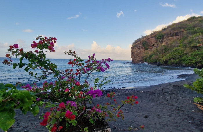 Appartement T4 Fonds Boucher - CASE-PILOTE