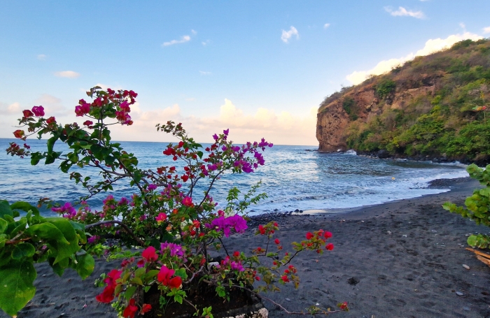 &Agrave; vendre : Appartement T3   Nord Cara&iuml;be, &agrave; deux pas de la plage