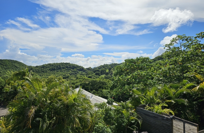 VILLA  T3 AVEC PISCINE + T2 INDEPENDANT