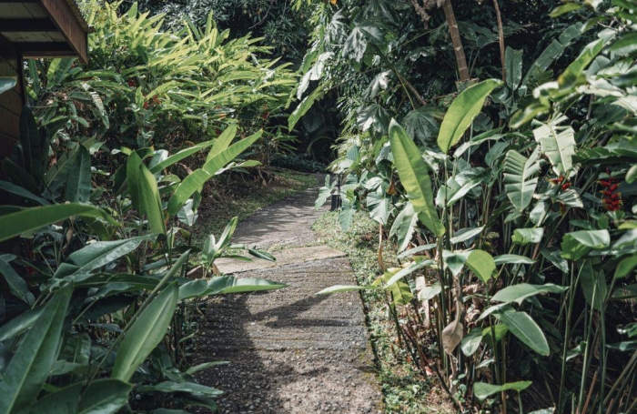 Ensemble 4 habitations + 4 piscines - Terrain 4845m2 - RIVIERE PILOTE