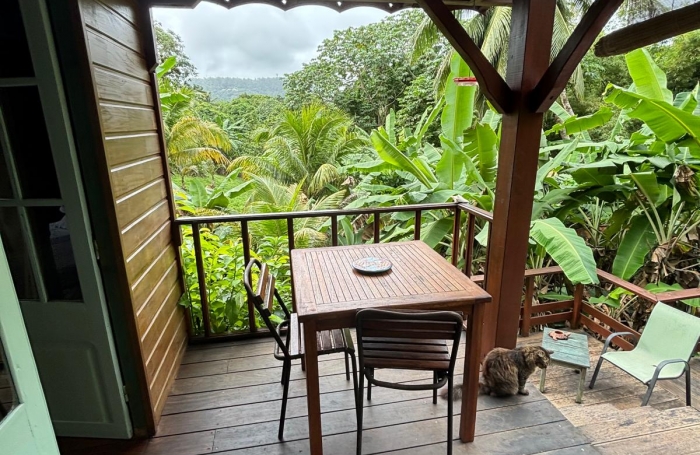 Ensemble 4 habitations + 4 piscines - Terrain 4845m2 - RIVIERE PILOTE