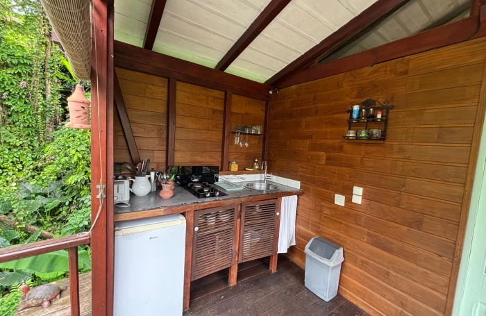 Ensemble 4 habitations + 4 piscines - Terrain 4845m2 - RIVIERE PILOTE