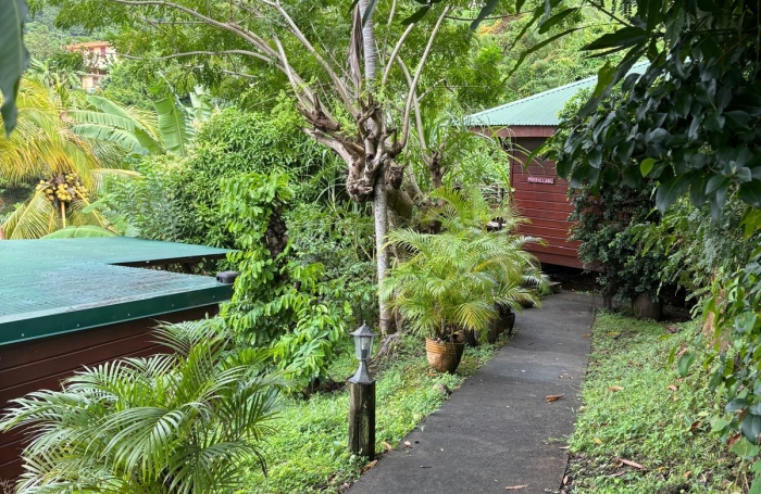 Ensemble 4 habitations + 4 piscines - Terrain 4845m2 - RIVIERE PILOTE