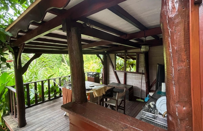 Ensemble 4 habitations + 4 piscines - Terrain 4845m2 - RIVIERE PILOTE