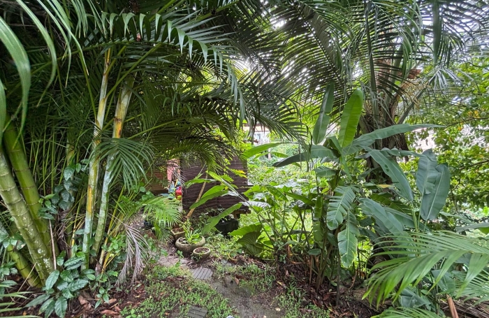 Ensemble 4 habitations + 4 piscines - Terrain 4845m2 - RIVIERE PILOTE