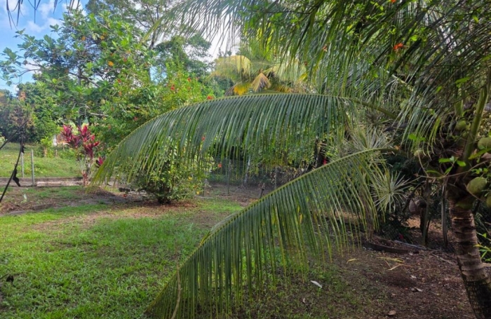 Location Maison 91.81m&sup2; 4 pièces Saint-Esprit