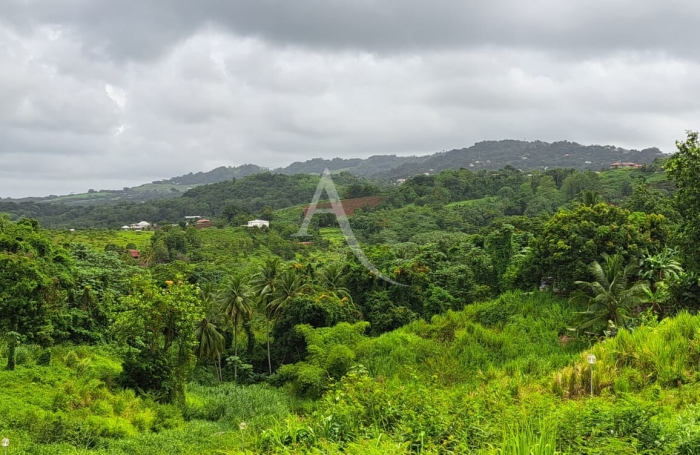 Vente Terrain 701m&sup2; Ducos