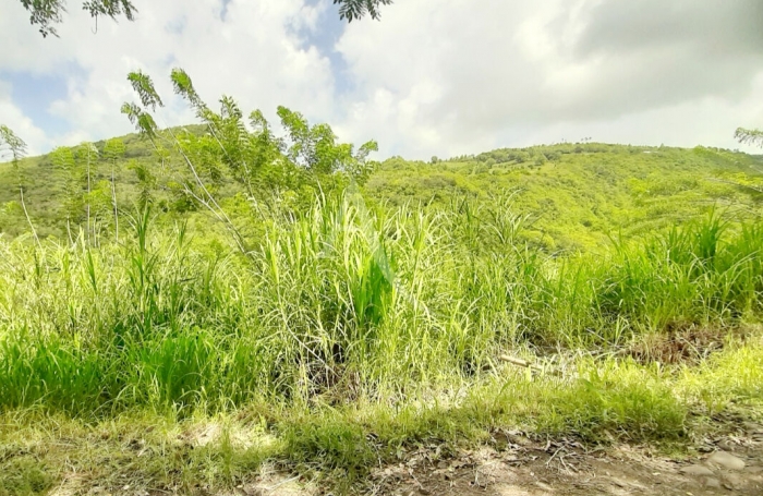 Vente Terrain 922m&sup2; Sainte Luce