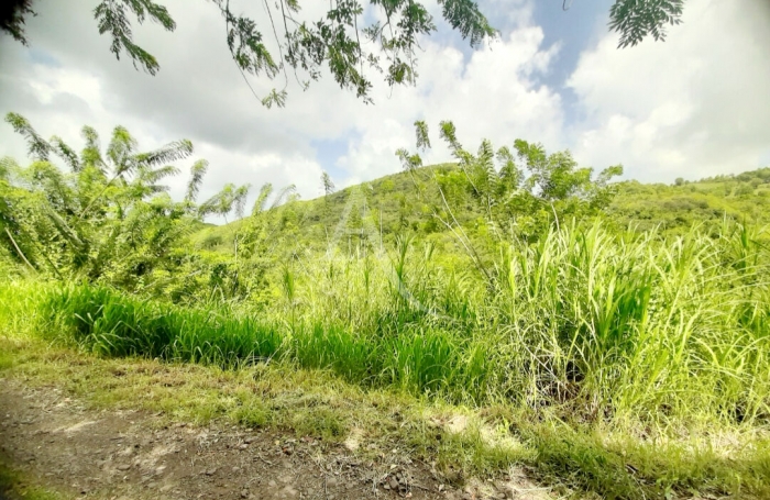 Vente Terrain 922m&sup2; Sainte Luce