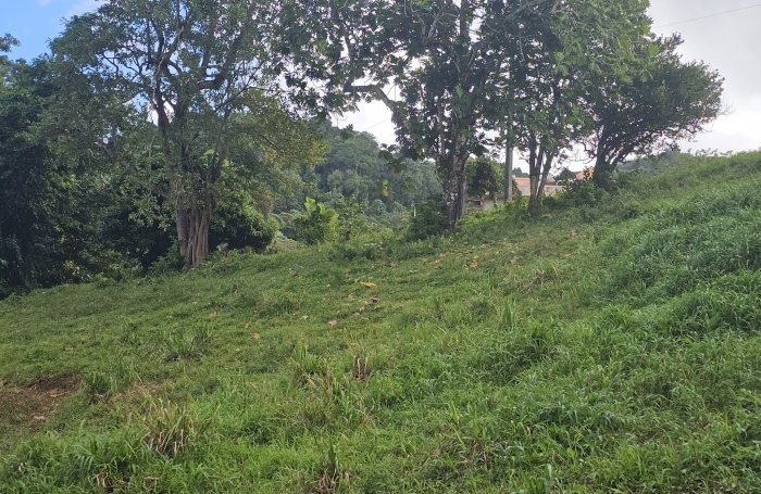 Terrain &agrave; b&acirc;tir de 1353 m2 dont 751 m2 constructibles - LE ROBERT