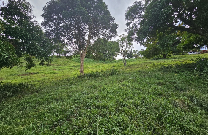 Terrain &agrave; b&acirc;tir de 1353 m2 dont 751 m2 constructibles - LE ROBERT