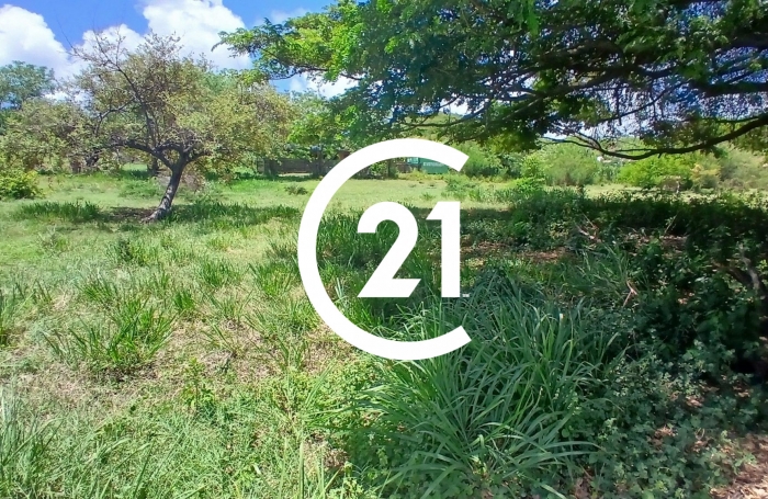 Vente Terrain 1116m&sup2; Le Vauclin