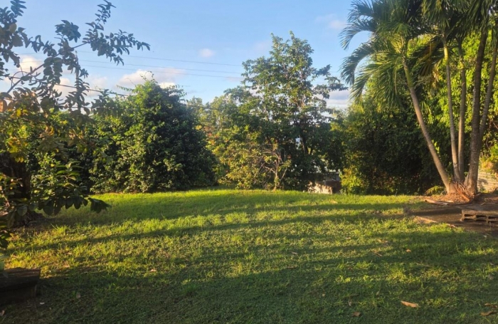 Vente Terrain 97280