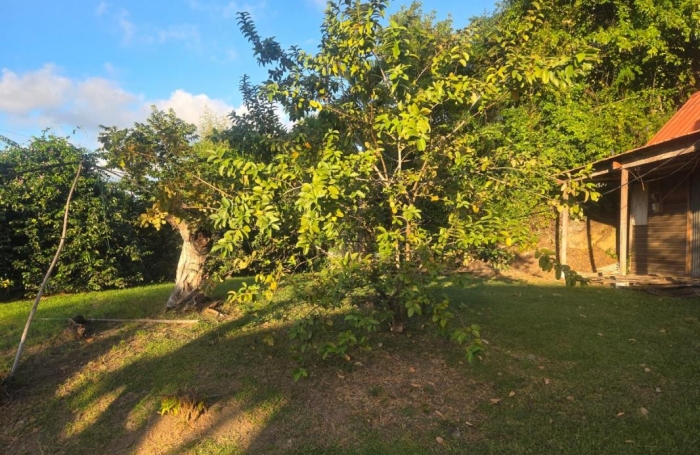 Vente Terrain 557m&sup2; Le Vauclin