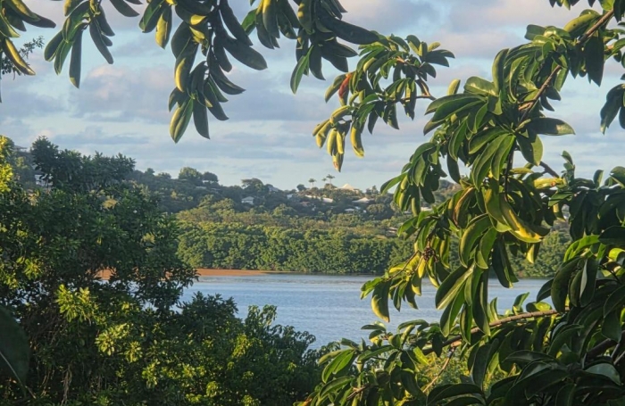 Vente Terrain 557m&sup2; Le Vauclin