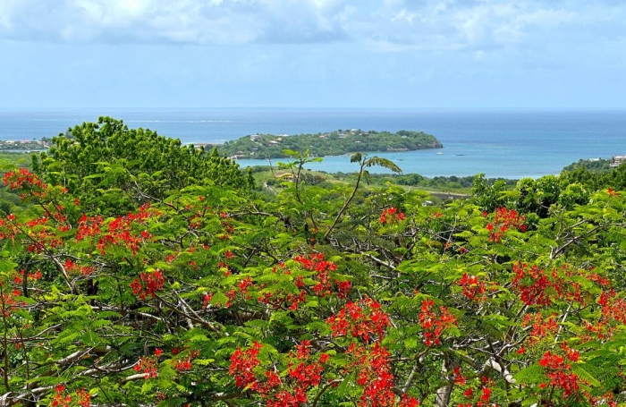 Vente Maison 167.75m&sup2; 5 pièces Le Vauclin