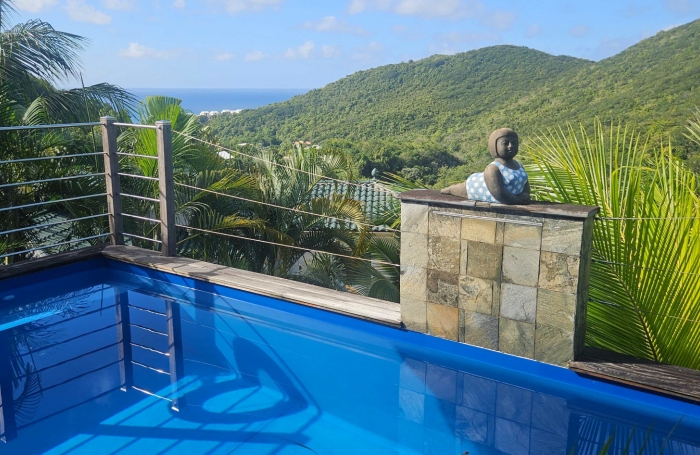 Magnifique villa F4 avec  piscine, vue mer et garage en parfaite &eacute;tat