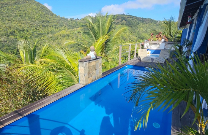 Magnifique villa F4 avec  piscine, vue mer et garage en parfaite &eacute;tat