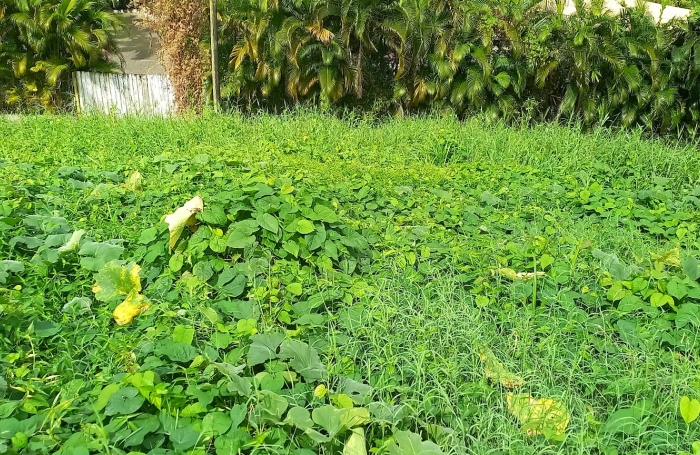 Beau terrain &agrave; batir vue mer et campagne