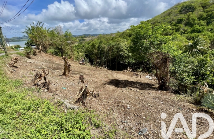 Vente Terrain 2597m&sup2; La Trinit&eacute;