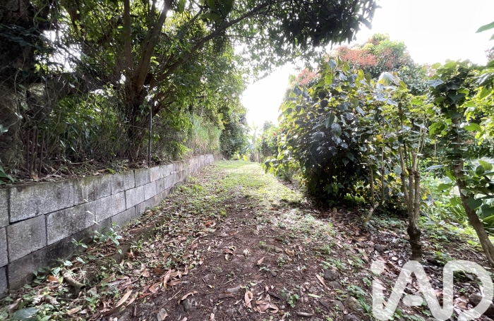 Vente Terrain 1100m&sup2; Le Morne Vert