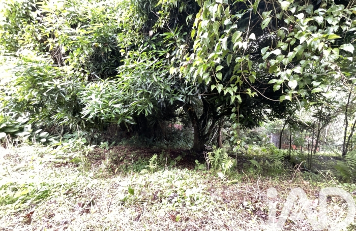 Vente Terrain 1100m&sup2; Le Morne Vert