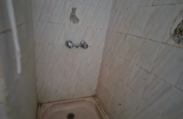 Immeuble de deux appartements + un espace commercial, bourg - SAINTE-LUCE