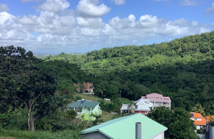 Location Maison 100m&sup2; 4 pi&egrave;ces Rivi&egrave;re Sal&eacute;e