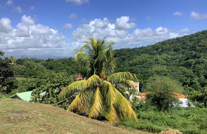 Location Maison 100m&sup2; 4 pi&egrave;ces Rivi&egrave;re Sal&eacute;e