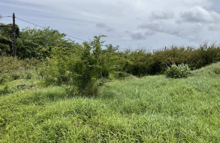 Terrains viabilis&eacute; en lotissement - LE MARIN