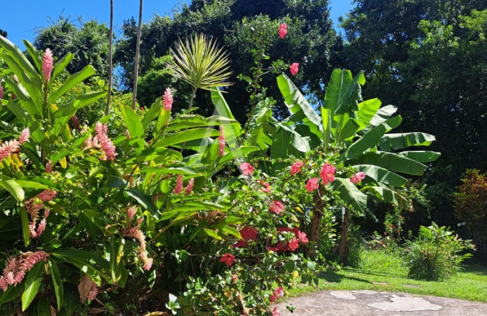 Vente Maison 208.81m&sup2; 5 pi&egrave;ces La Trinit&eacute;