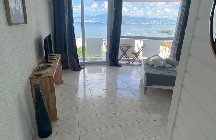 STUDIO VUE MER PANORAMIQUE - PISCINE - PLAGE A PIED - ANSE MITAN - TROIS-ILETS