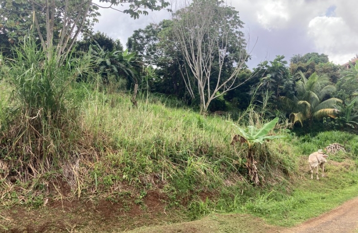 Vente Terrain 1424m&sup2; Saint-Esprit