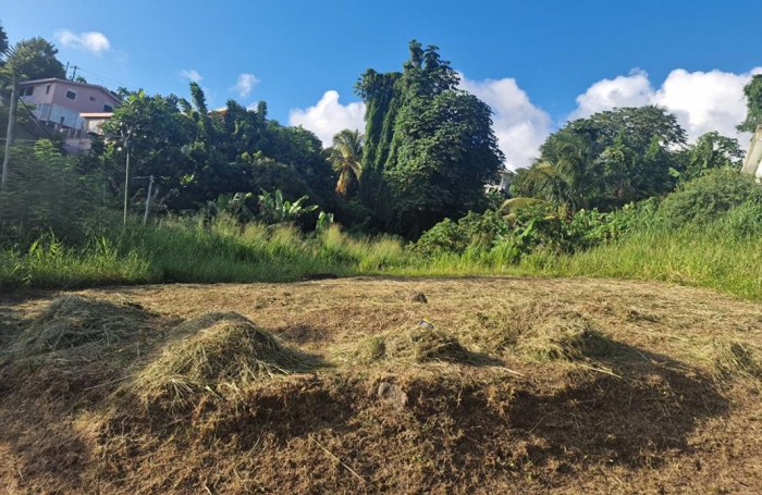 Vente Terrain 517m&sup2; Schoelcher