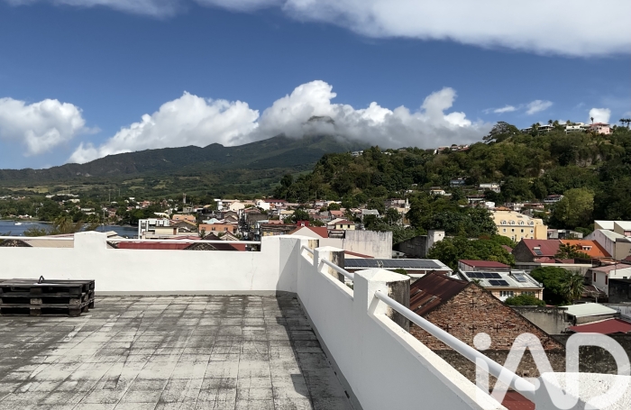 Vente Immeuble 97250