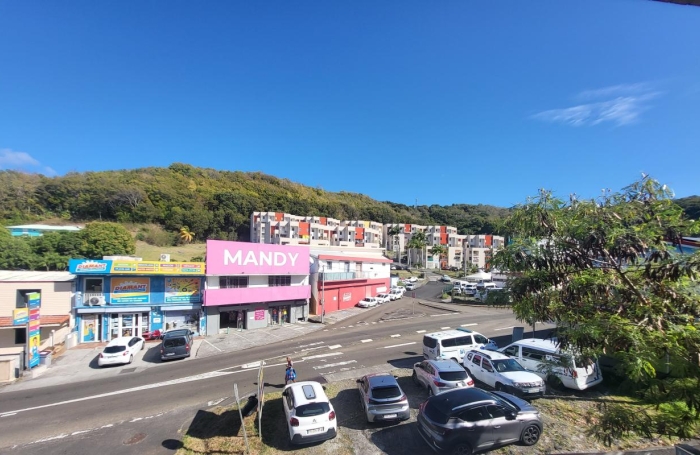 Location Appartement 97290