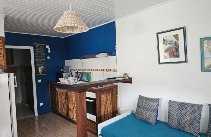 T2 MEUBLE ANSE A L'ANE