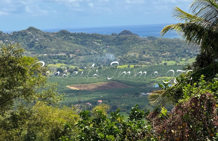 Location Appartement 97240