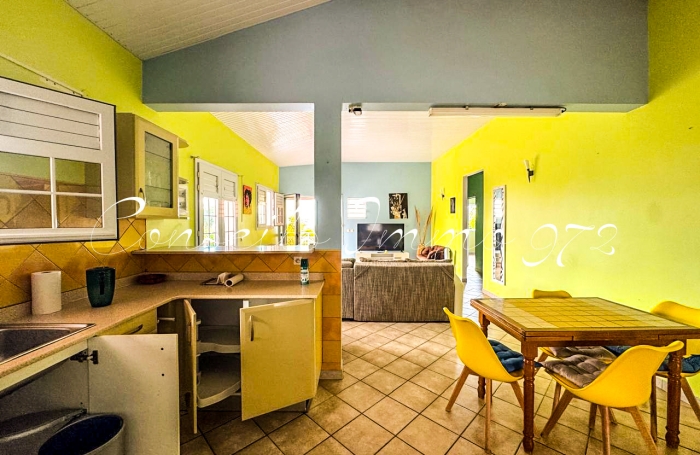 T4 meubl&eacute; vue mer horizon, terrasses & acc&egrave;s privatif - Morne Pitault