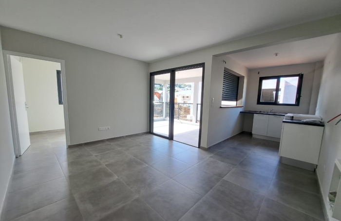 T3 neuf, &agrave; quelques pas de plage de l'anse &agrave; l'&acirc;ne - loi PINEL