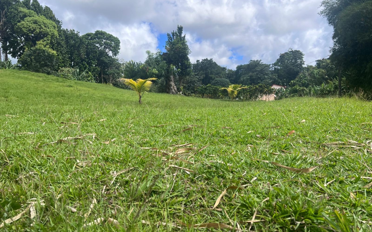 Le Gros-Morne Terrain 4 435 m&sup2; 472 500 &euro; FAI